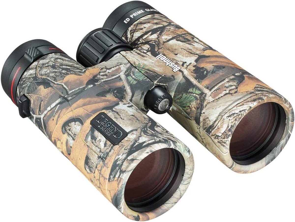 Test des jumelles Bushnell Legend L 10x42 : vision nette et robuste