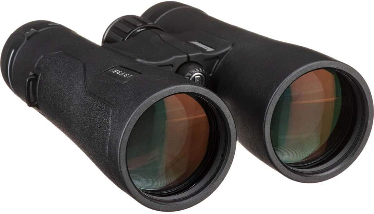 Test des jumelles Bushnell Engage DX 12x50 : qualitรฉ d'image et robustesse