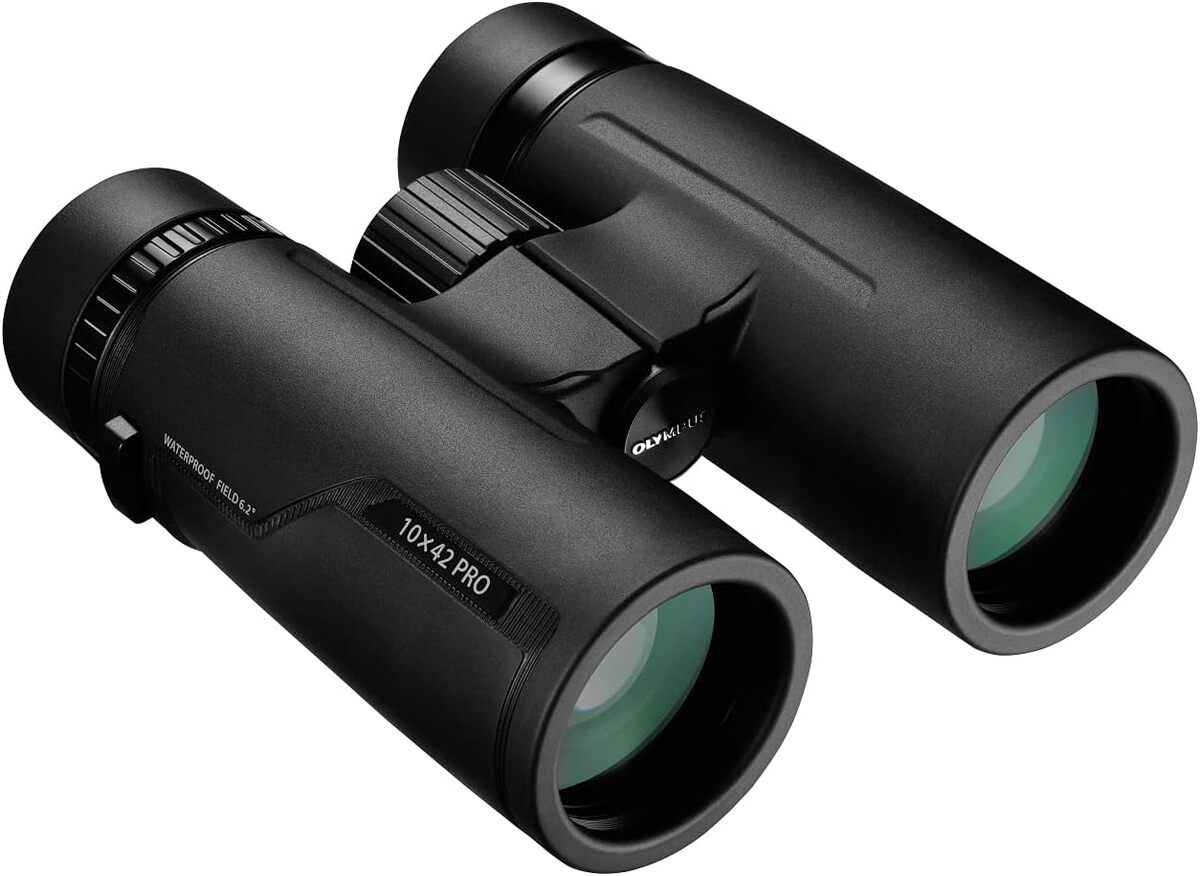 Test des jumelles Olympus 10x42 PRO : l'alliรฉ parfait pour les aventuriers