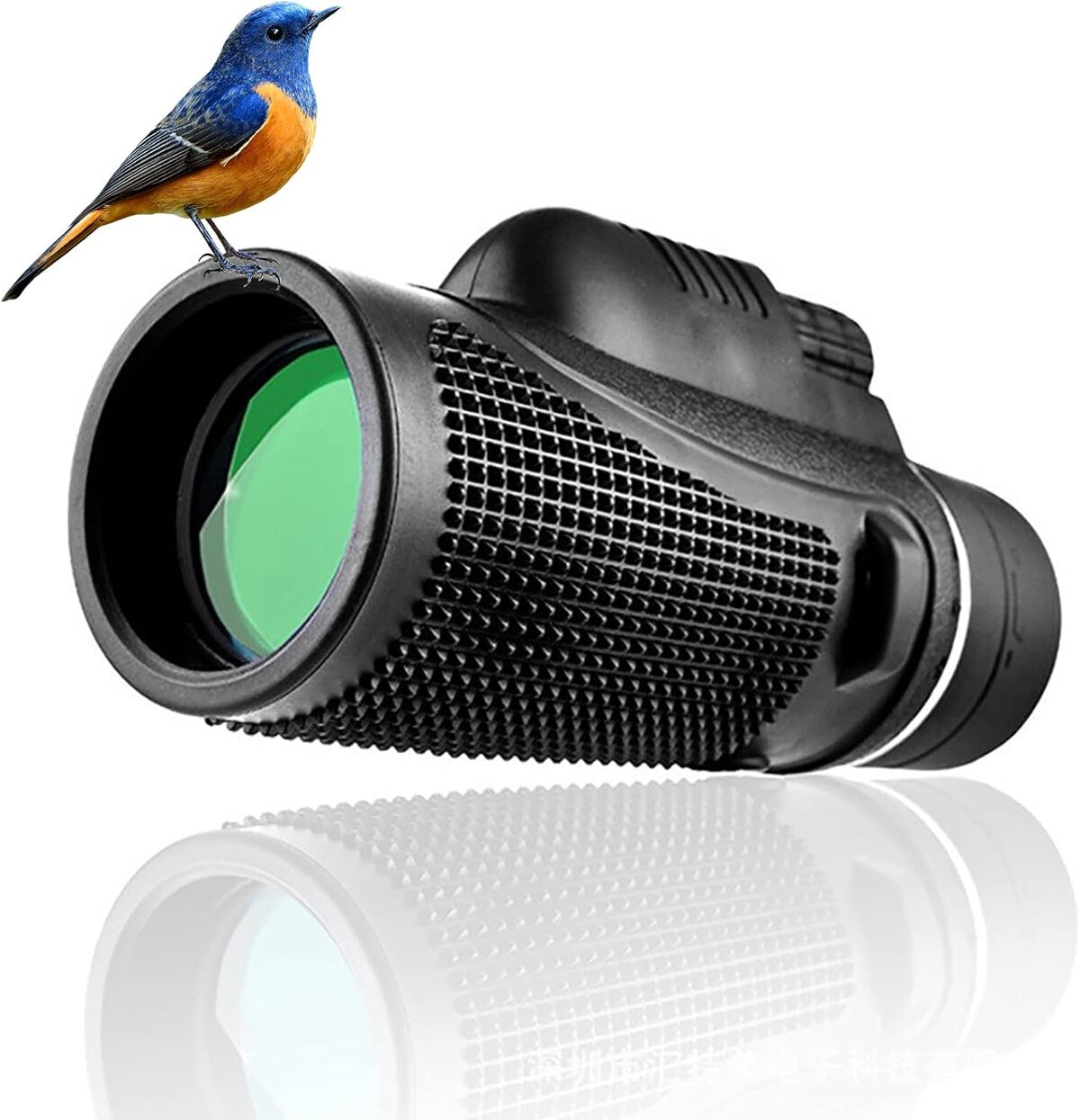 Test du monoculaire T8-12x : vision nocturne et zoom puissant en action