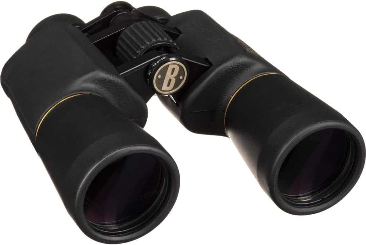 Test des jumelles Bushnell Legacy 10x50 : performance et rรฉsistance