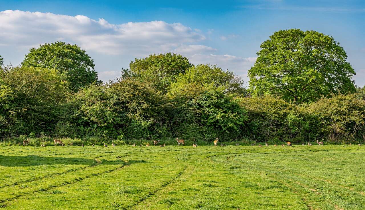 Pr&eacute;vention des d&eacute;g&acirc;ts dans les zones agricoles