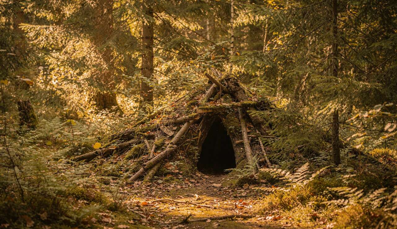 Choisir le bon emplacement pour son abri